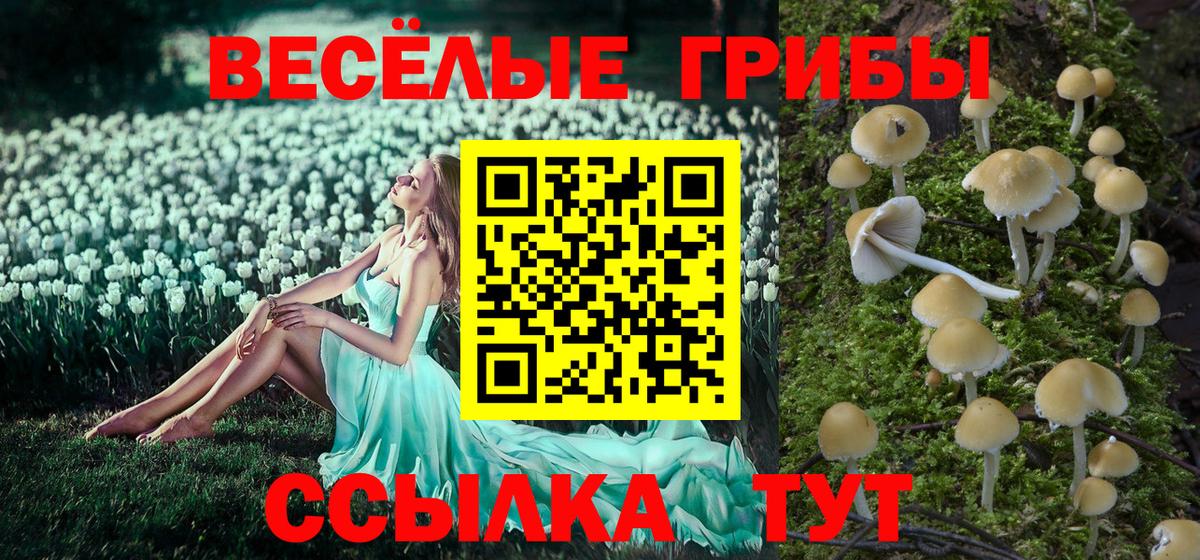 Галлюциногенные грибы мухоморы  Вход с VPN  Менделеевск 