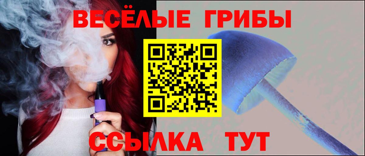 Галлюциногенные грибы Psilocybine cubensis Менделеевск